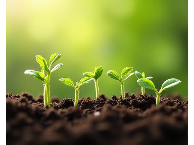 A series of small, interconnected green plant shoots growing from a single central root, symbolizing gradual, sustainable habit building.